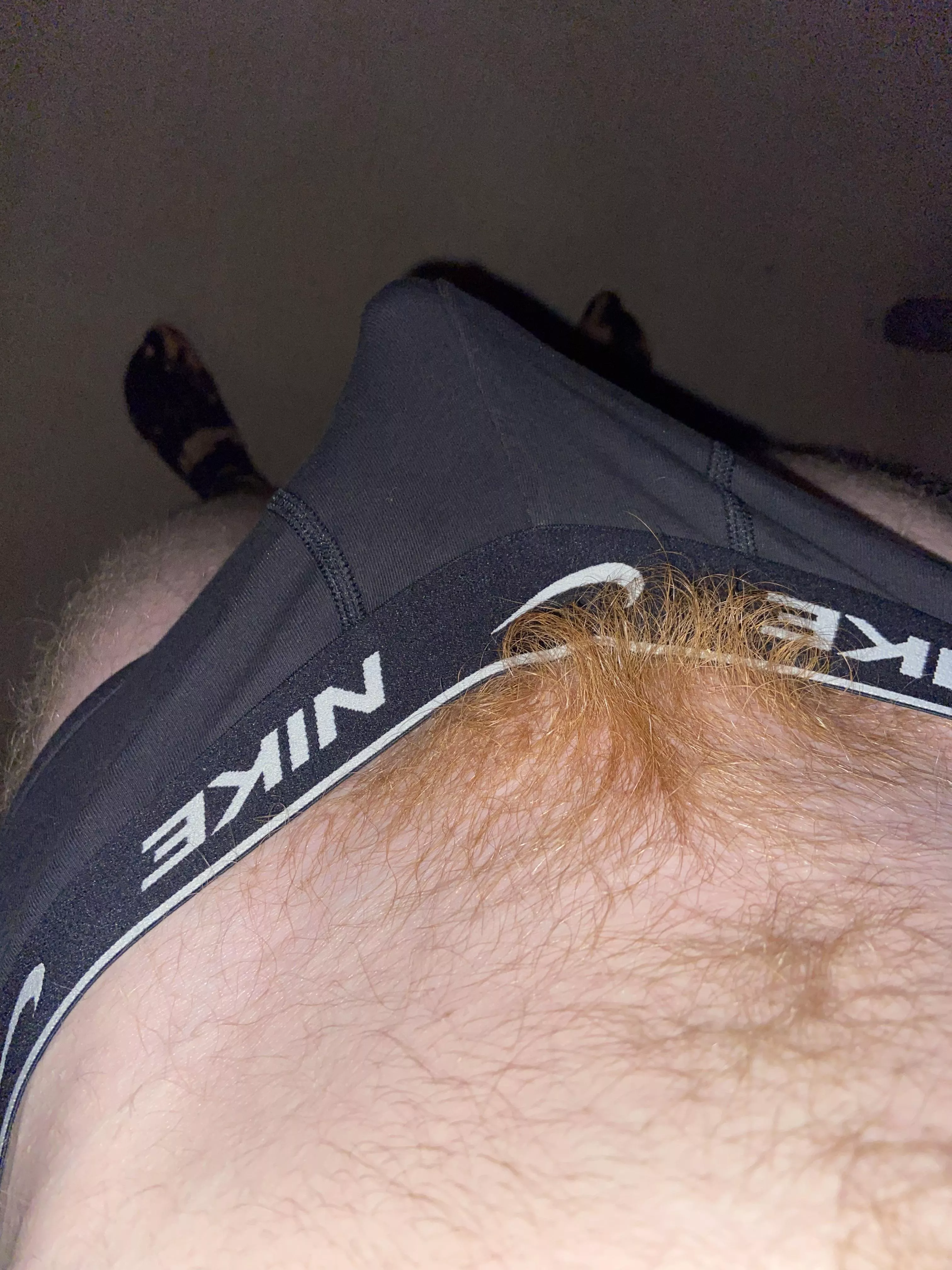 Someone’s woke up👀🍆