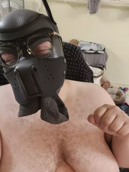 would love to play tug and get a kiss on my nose