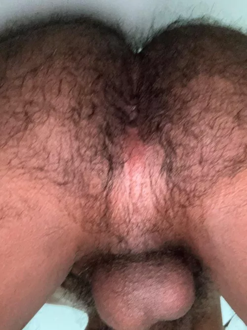 Think I’m hairy enough