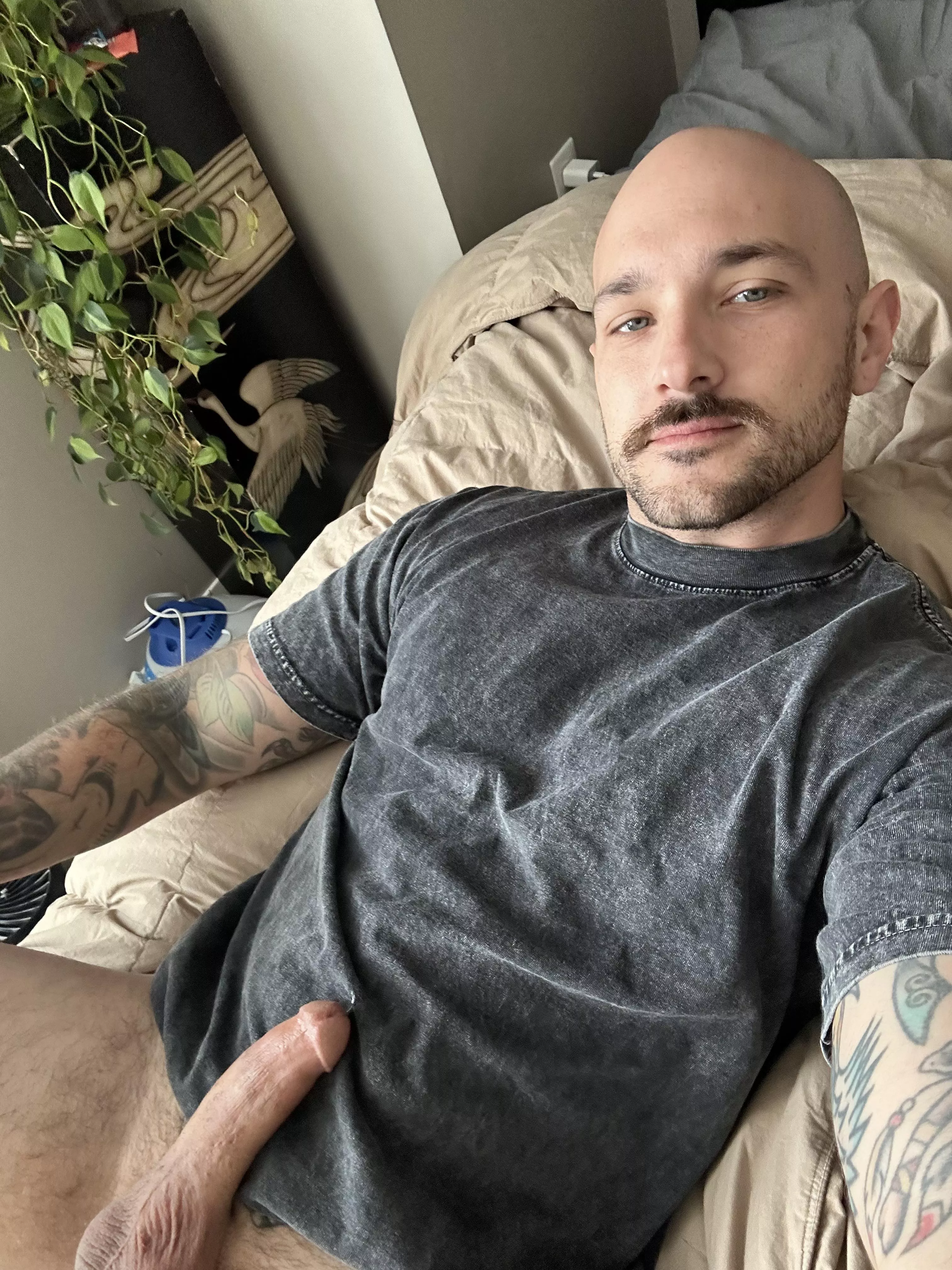 Would you suck this for dad?