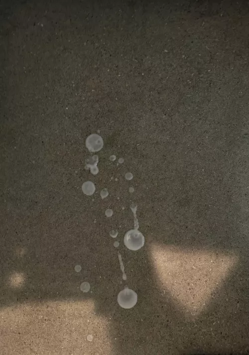 Found a used nut on the locker room floor, I had to lick it up. I refuse to let seed go to waste.