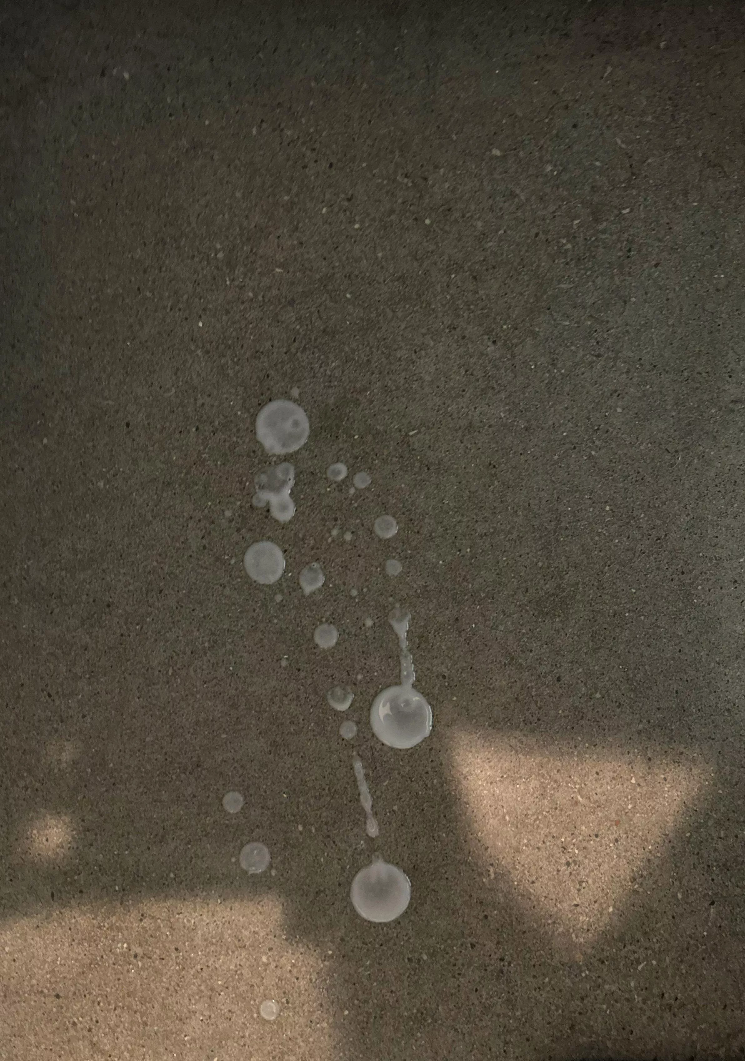 Found a used nut on the locker room floor, I had to lick it up. I refuse to let seed go to waste.