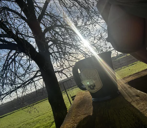 Good morning CGW 🌞 