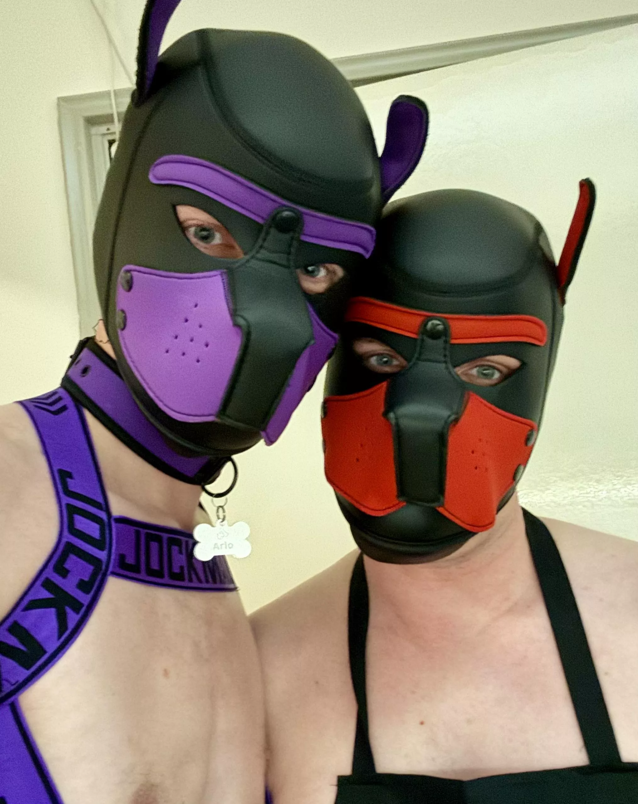 Goowd morning!! Have yourself a woofderful day! 🐶💜💚