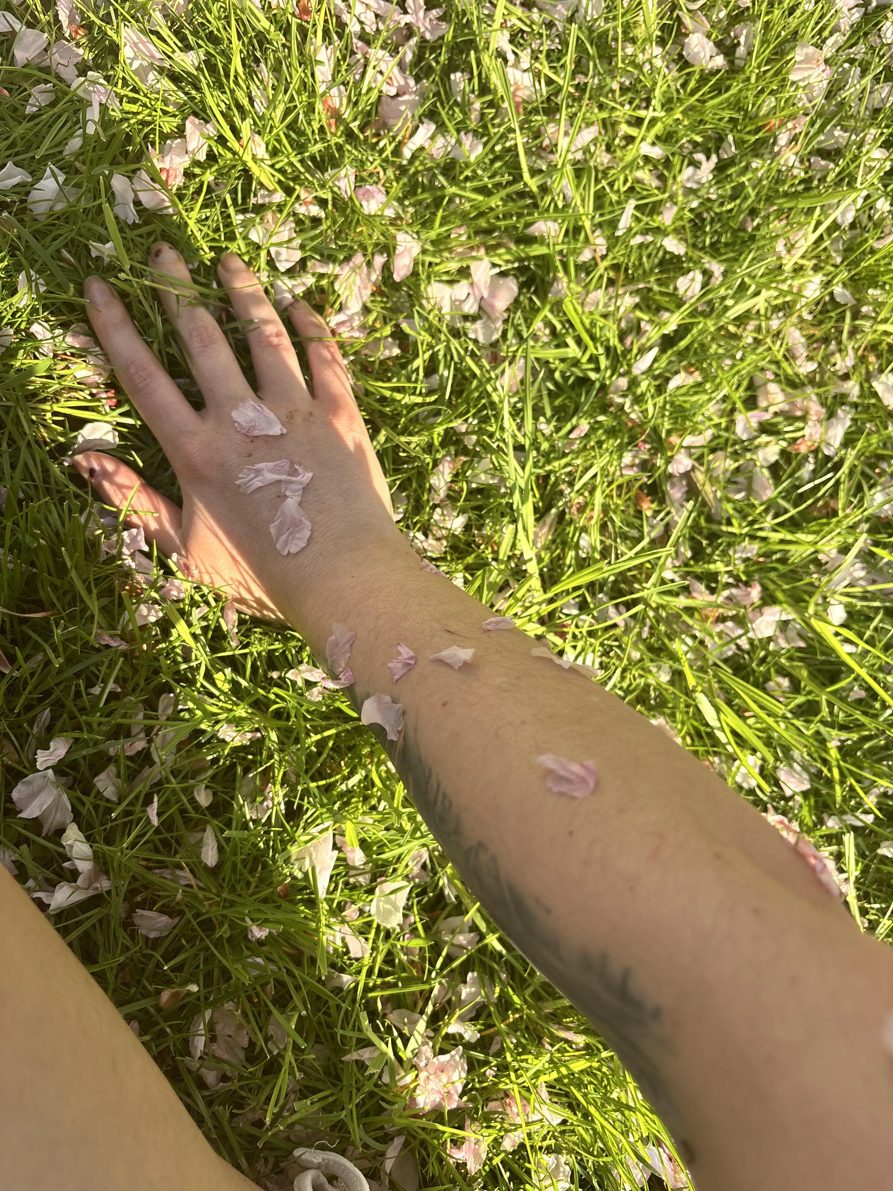 Hands with the flowers