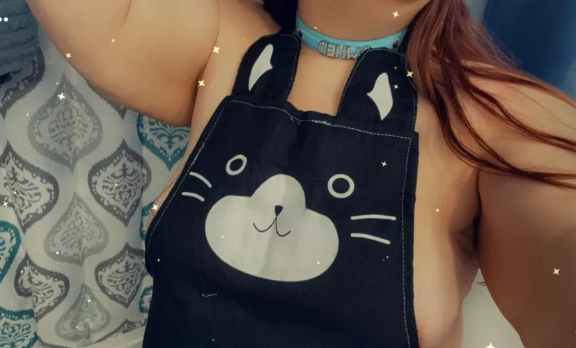 Husband got me a new apron