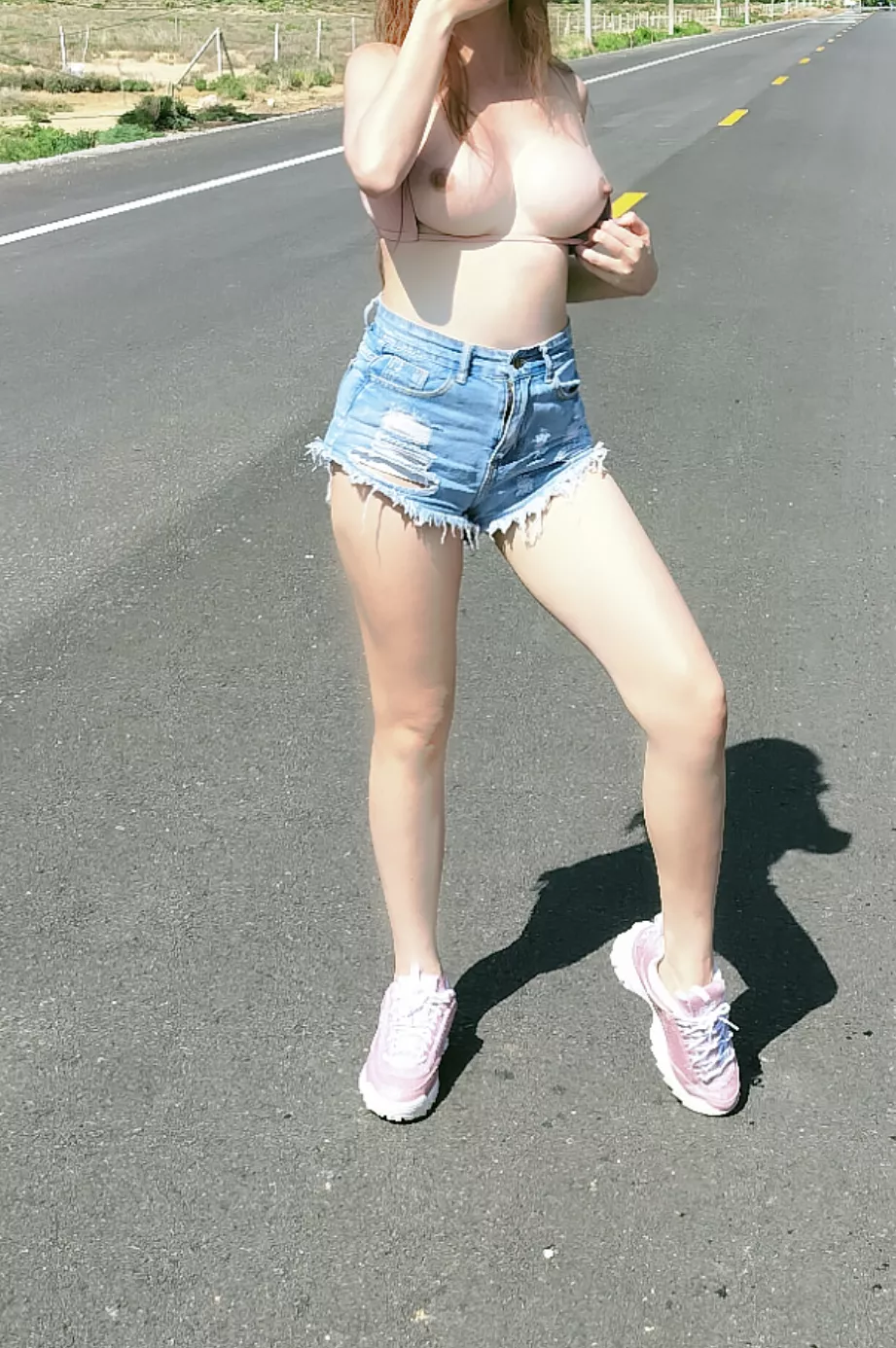 If I pulled out my tits in the middle of the road would you stop for me ?