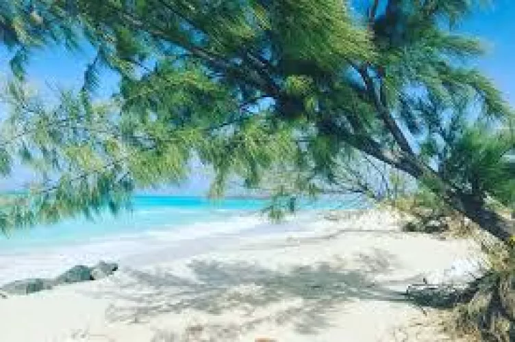 The fresh air of a beach.