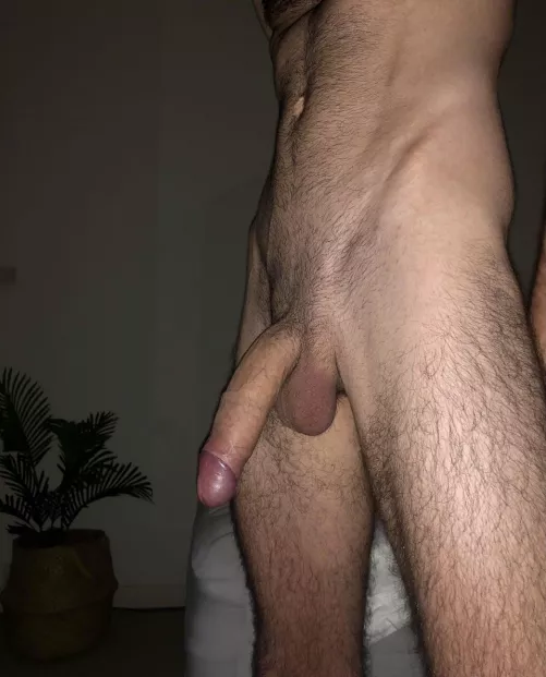 Who want to let it grow in their mouth? And yes it does get bigger. 