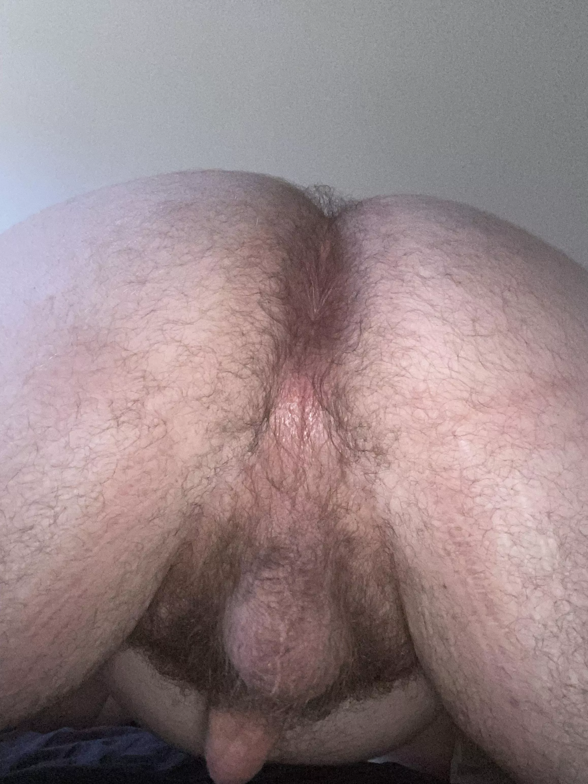 Any older bears wanna help this needy boy after his big day?