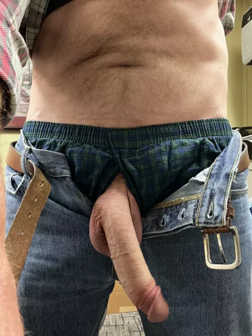 Anyone in need of being Ginger bred? (55)