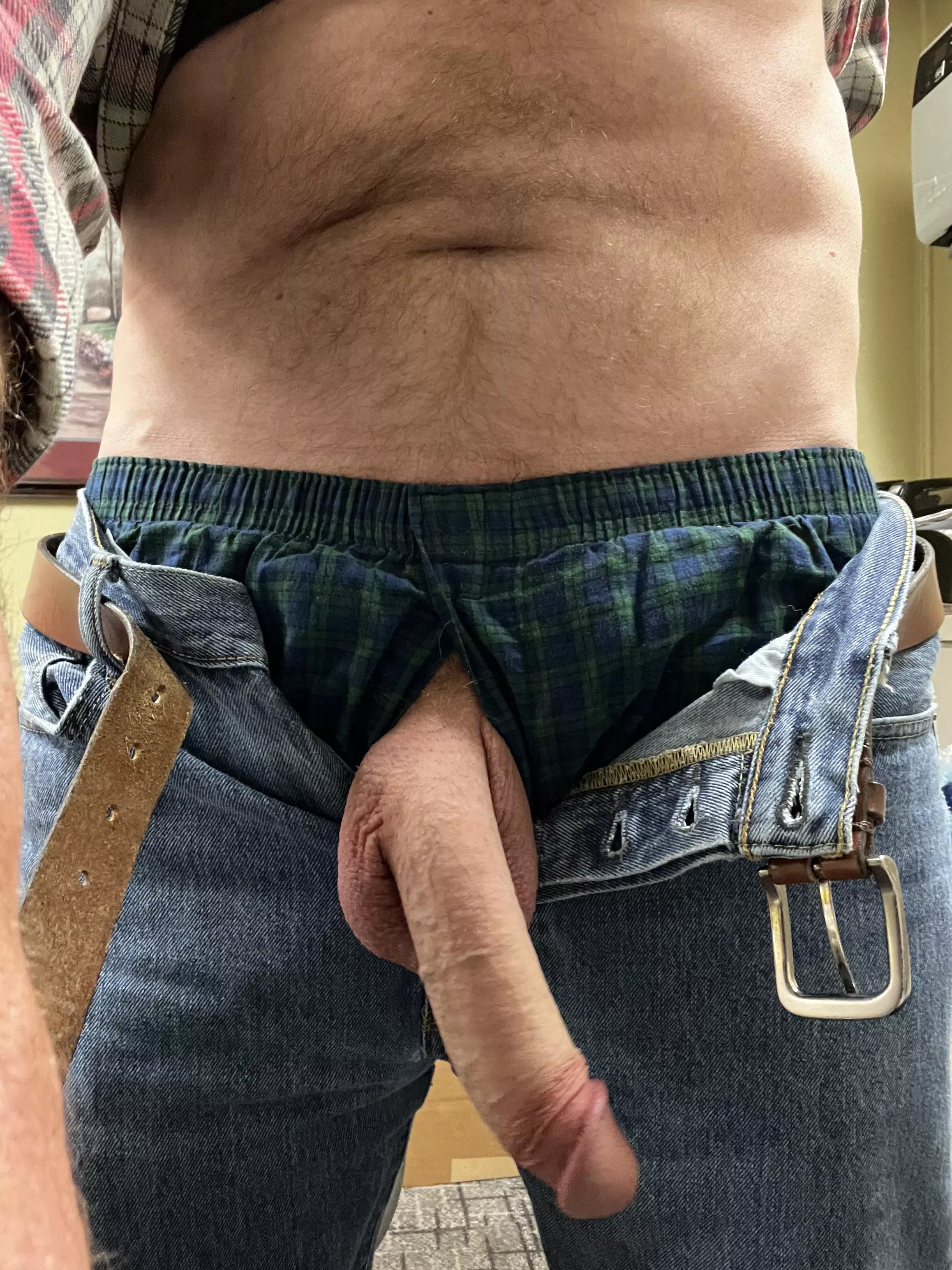 Anyone in need of being Ginger bred? (55)