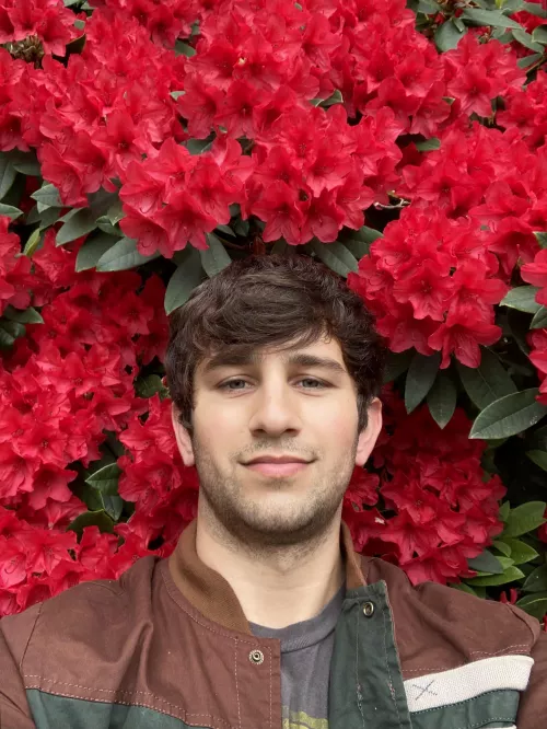 Azaleas are blooming! Look at this bush!