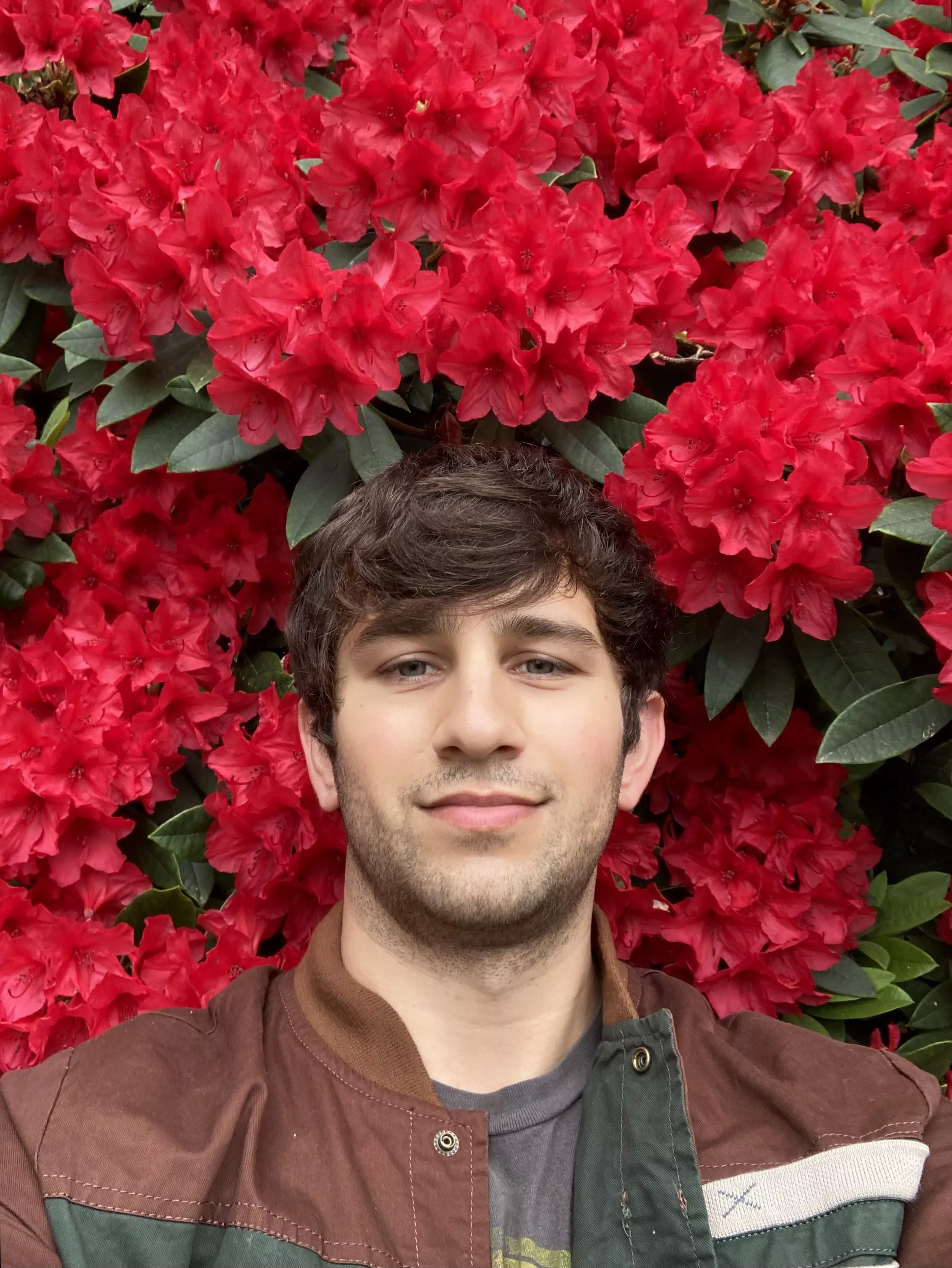 Azaleas are blooming! Look at this bush!