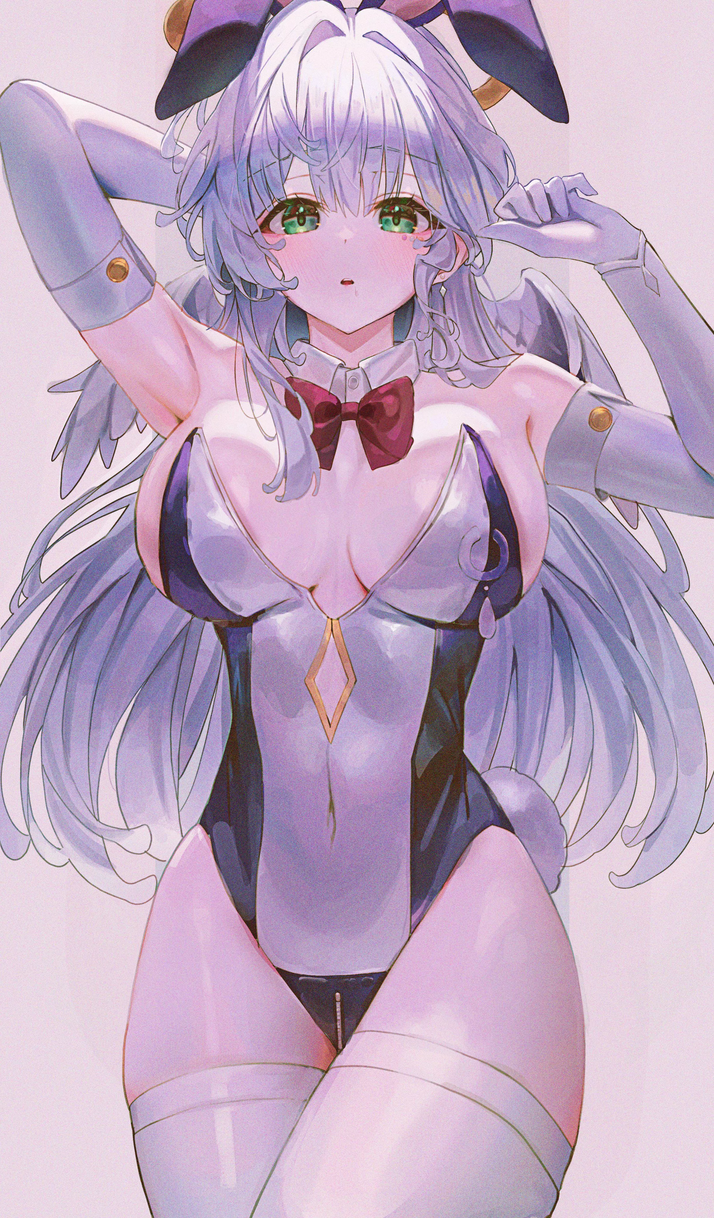 Bunny Robin [Honkai Star Rail]