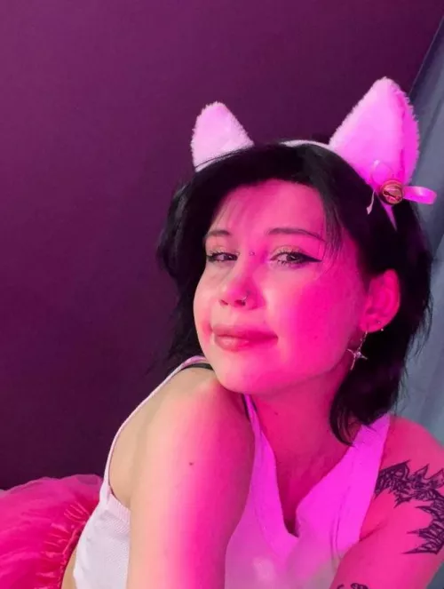 Cutie kitties are here, master