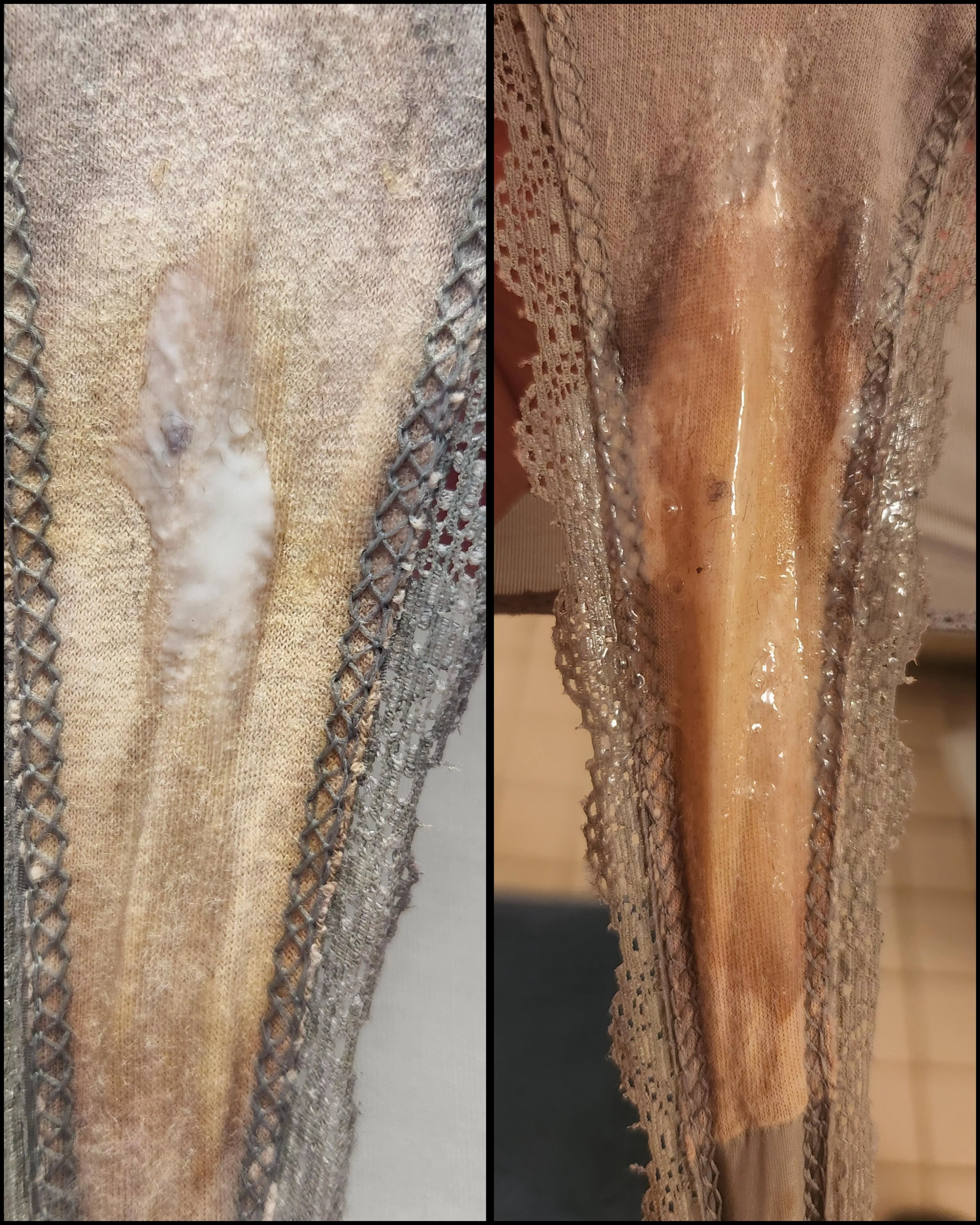 Do you prefer cream or grool? This one's got plenty of both though