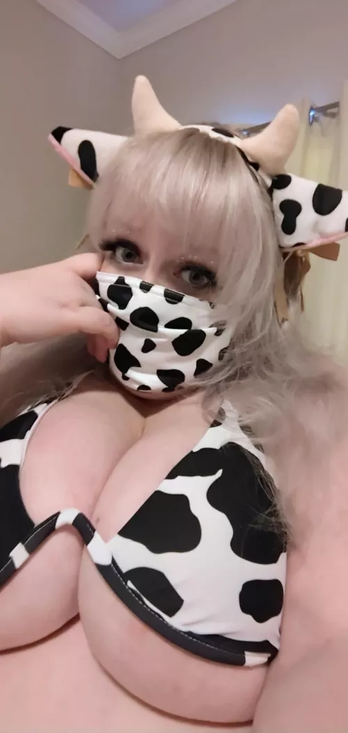 *insert cow pun here* 