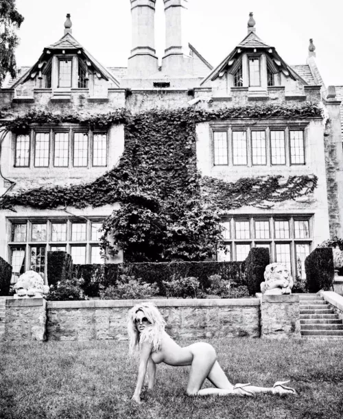 Pamela Anderson on all fours