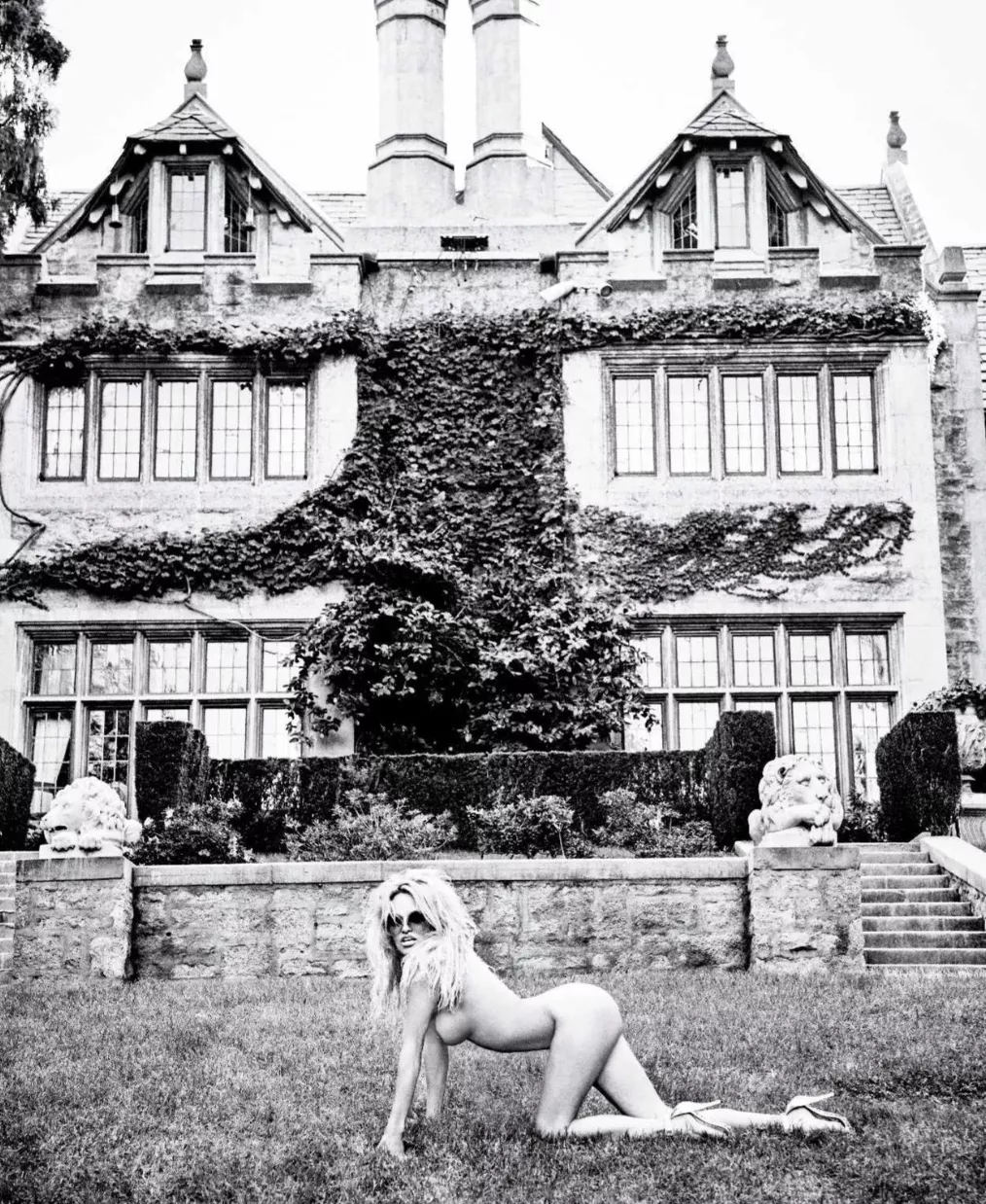 Pamela Anderson on all fours