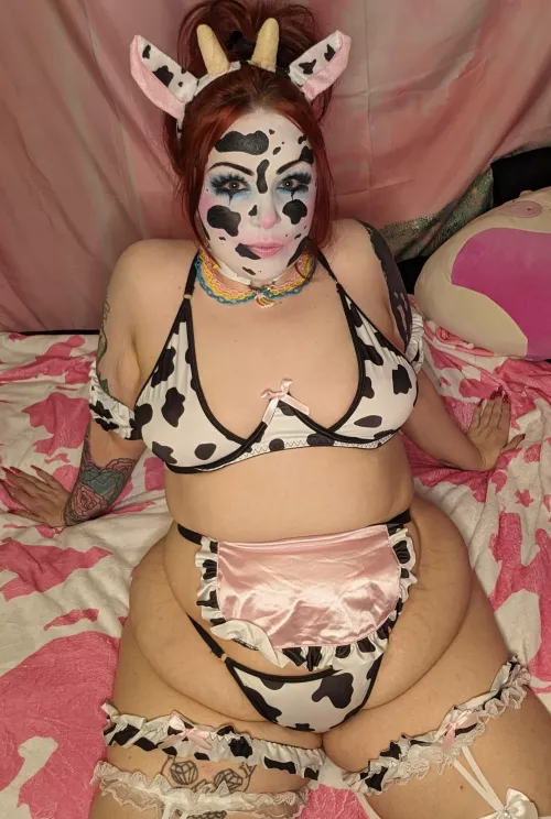 Prime breeding stock. 