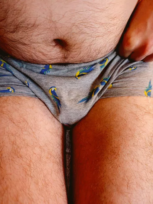 see my parrot on boxers (46)