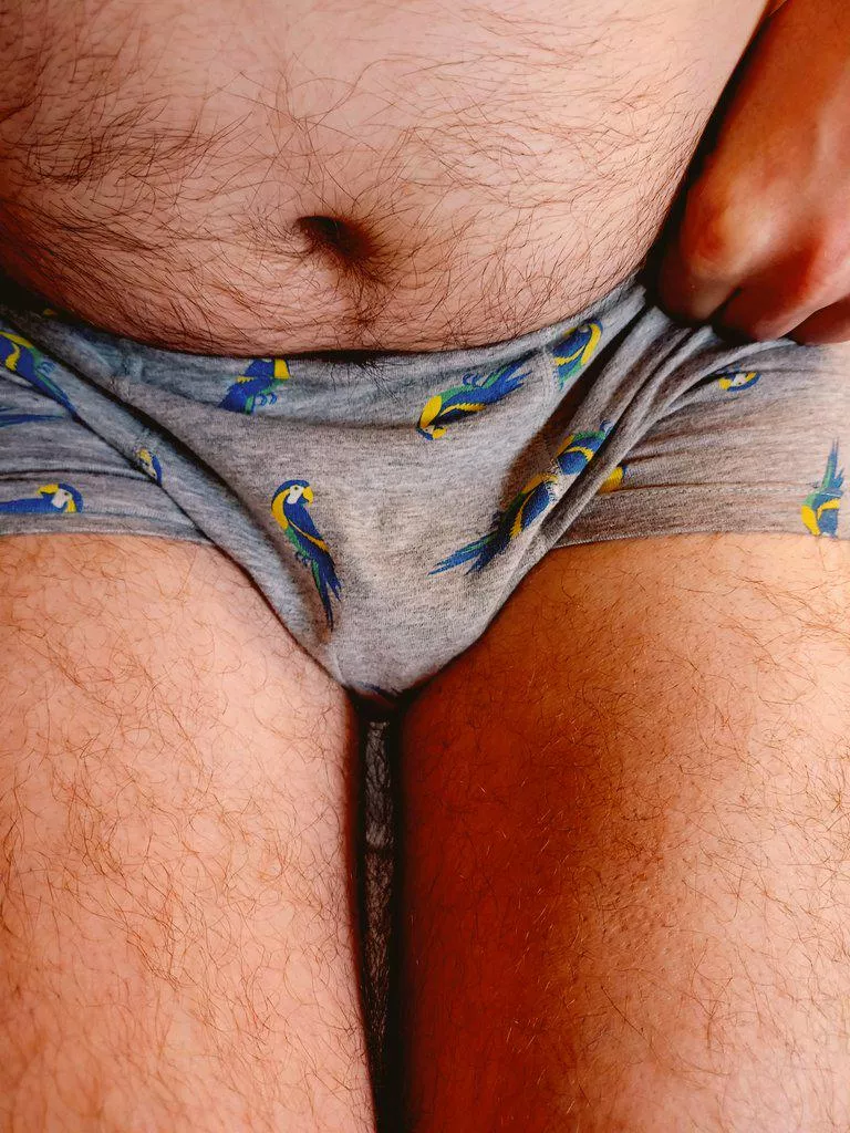 see my parrot on boxers (46)