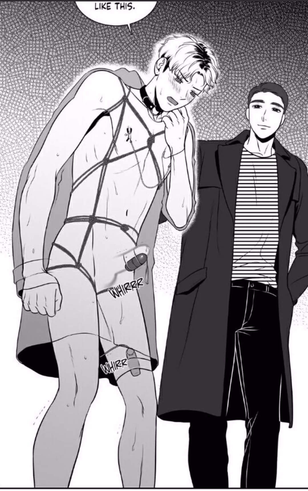 What a Dream(⁠ ⁠╹⁠▽⁠╹⁠ ⁠)