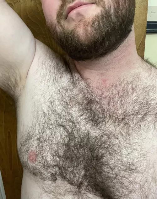 Where would you put your face? Neck, chest, or armpit?