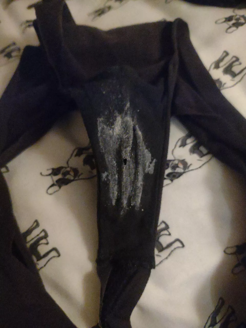 Would you steal my panties?