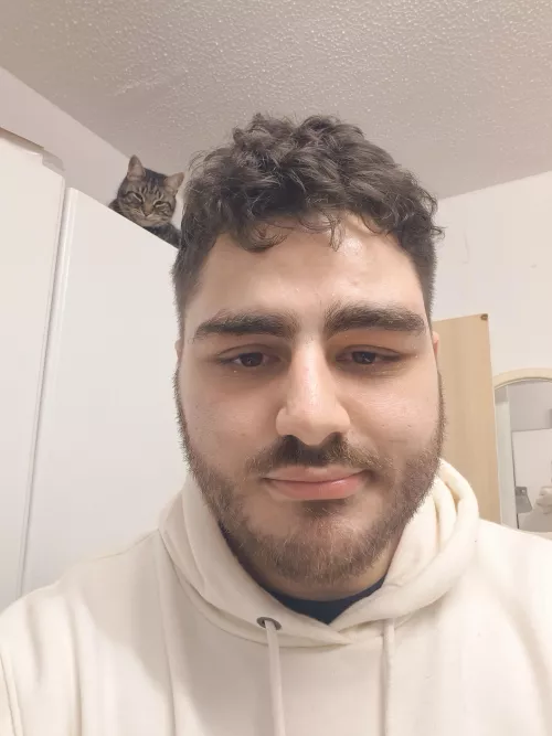 Cat says hi, I'm Jordan btw