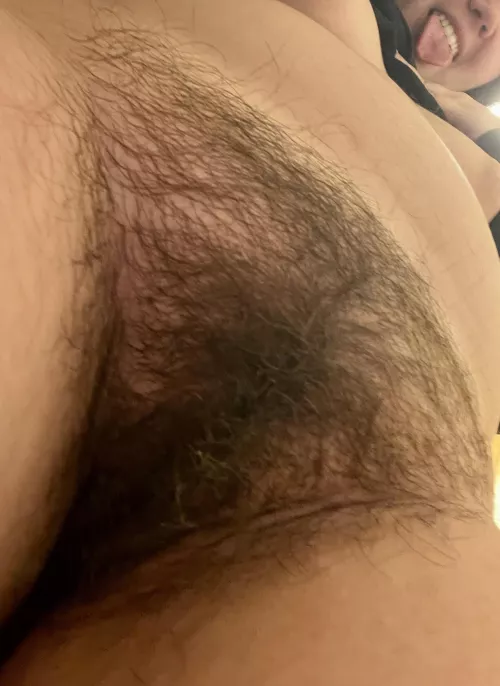 Do you prefer a full bush or trimmed?