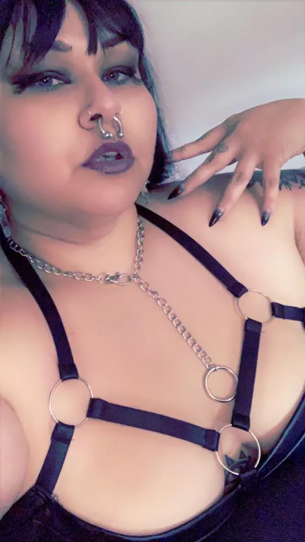 Face card never declines 