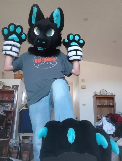 I finally get to join in all the fursuit fun!! Happy Fursuit Friday!!