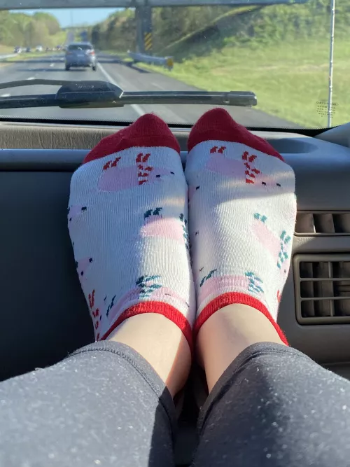 Pulling out my winter piggies