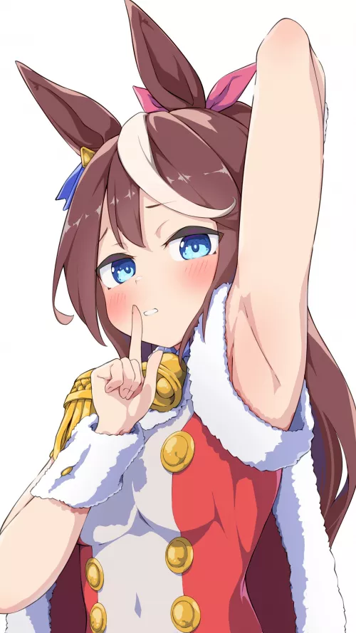 Tokai Teio (rari_rari_1) [Uma Musume Pretty Derby]