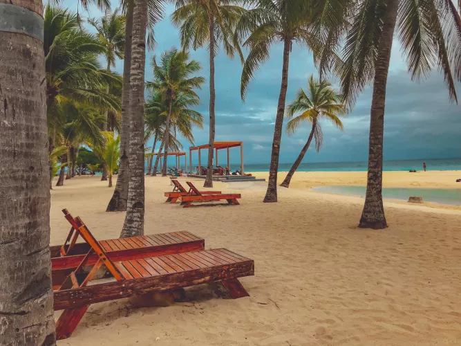 Underneath the shade of swaying coconut trees, where time slows down and worries drift away with the breeze. 🌴🏖️ #TropicalBliss