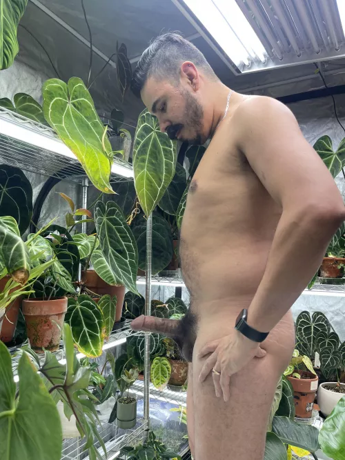 Happy world naked gardening day 💁‍♂️🪴 [35]