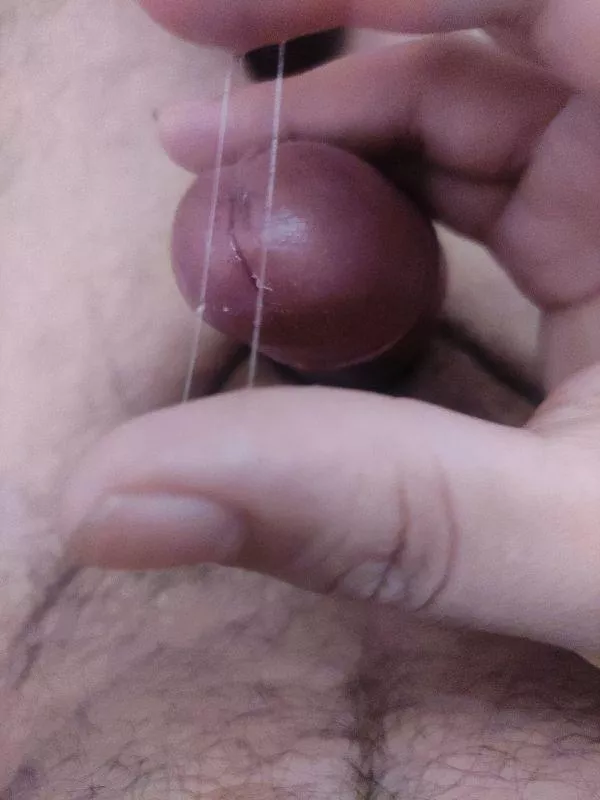 I precum a lot. Specially to couples. I'm bi. DM me 
