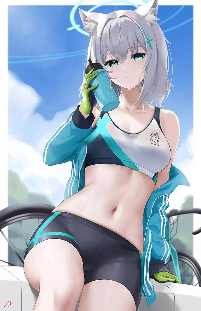 Shiroko [Blue Archive]