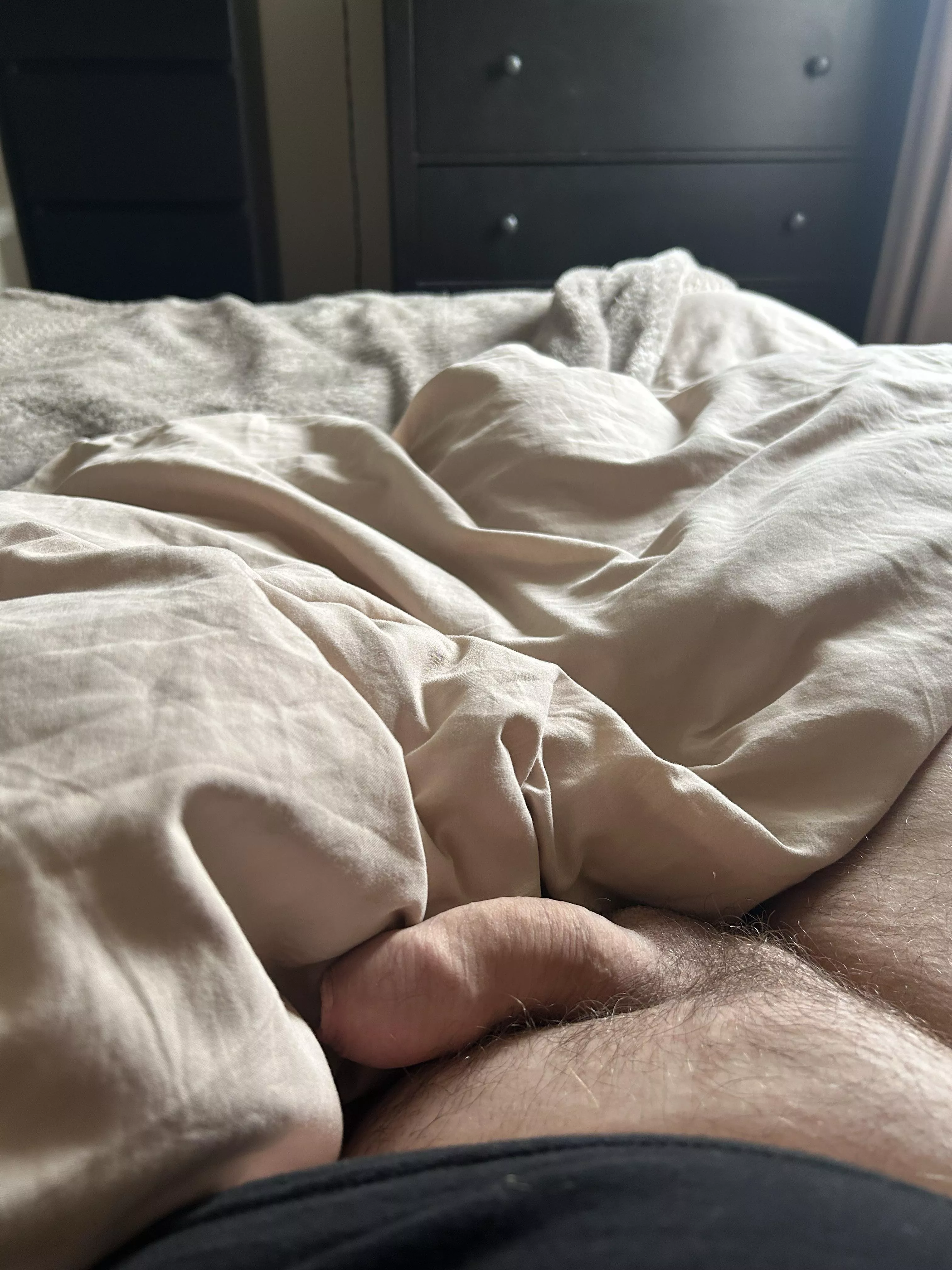 Sunday morning softy