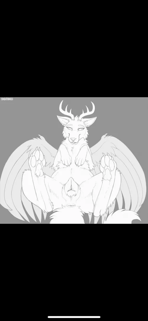 The perfect view [f] (digitoxici)