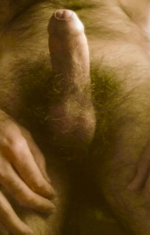 What do you want to sniff first