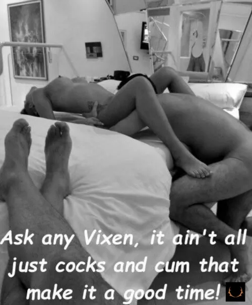 A Stag loves a good show.