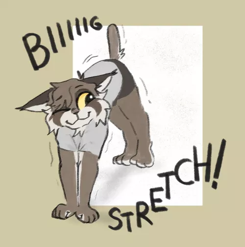 Biiiiig Stretch!!