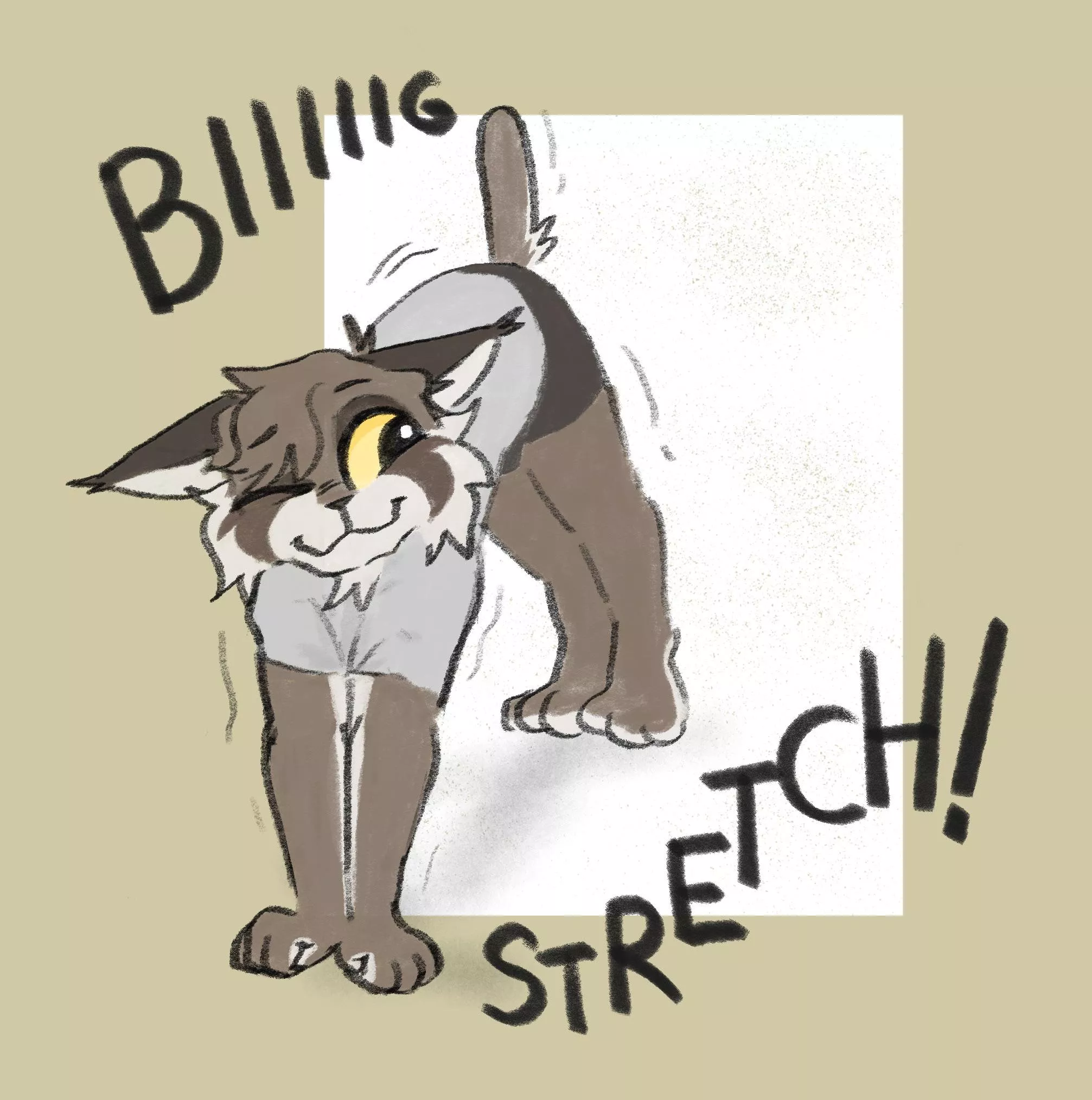 Biiiiig Stretch!!