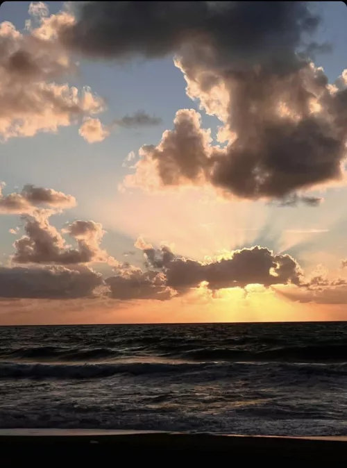 contemplate that sunset 