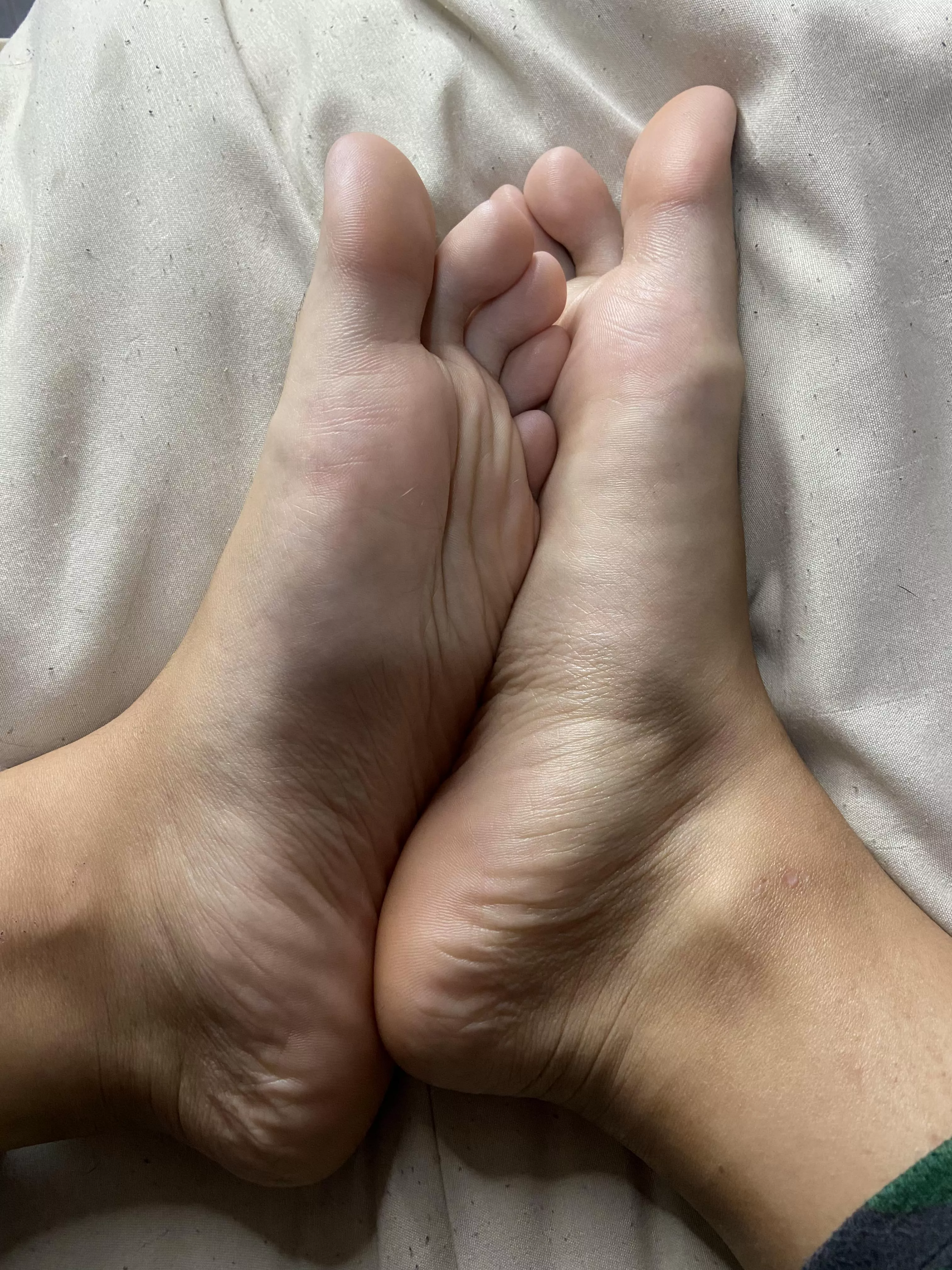 do you think they are beautiful?