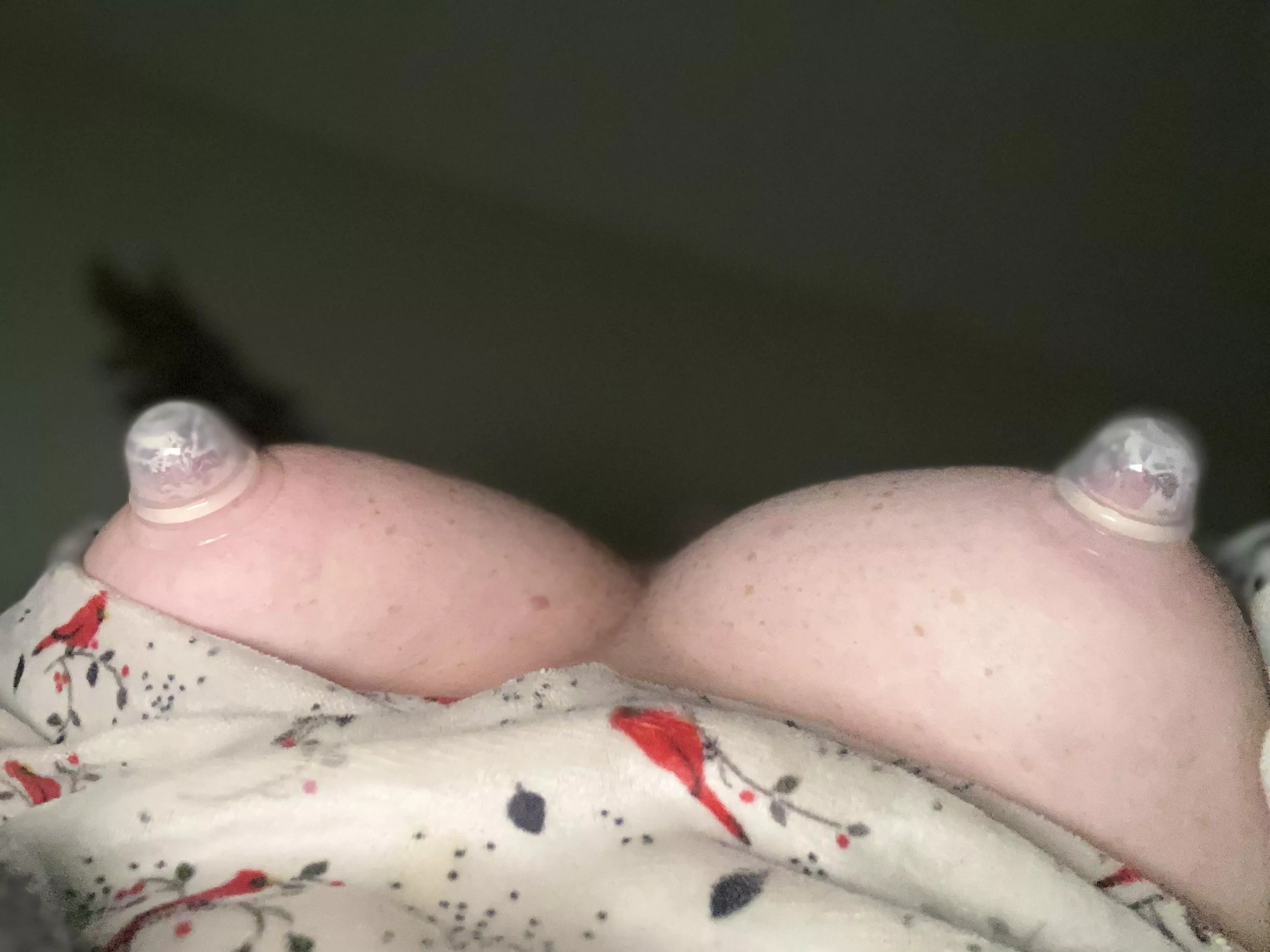 Getting them nice and thick 🥰