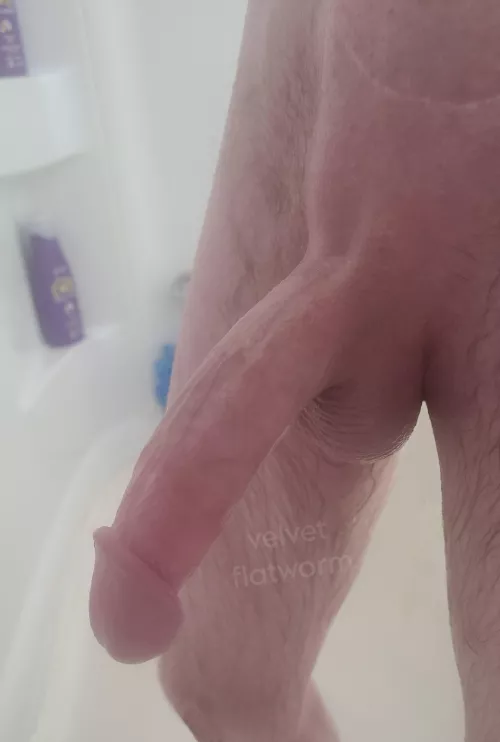 How many inches do you think it is?